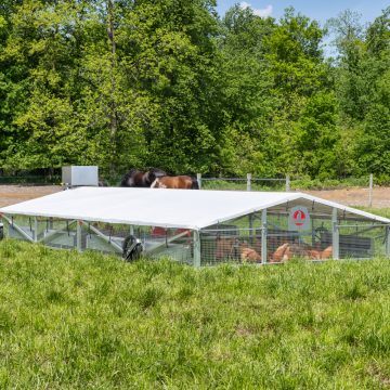 12 x 24 Alumi-Coop [Coop Only]